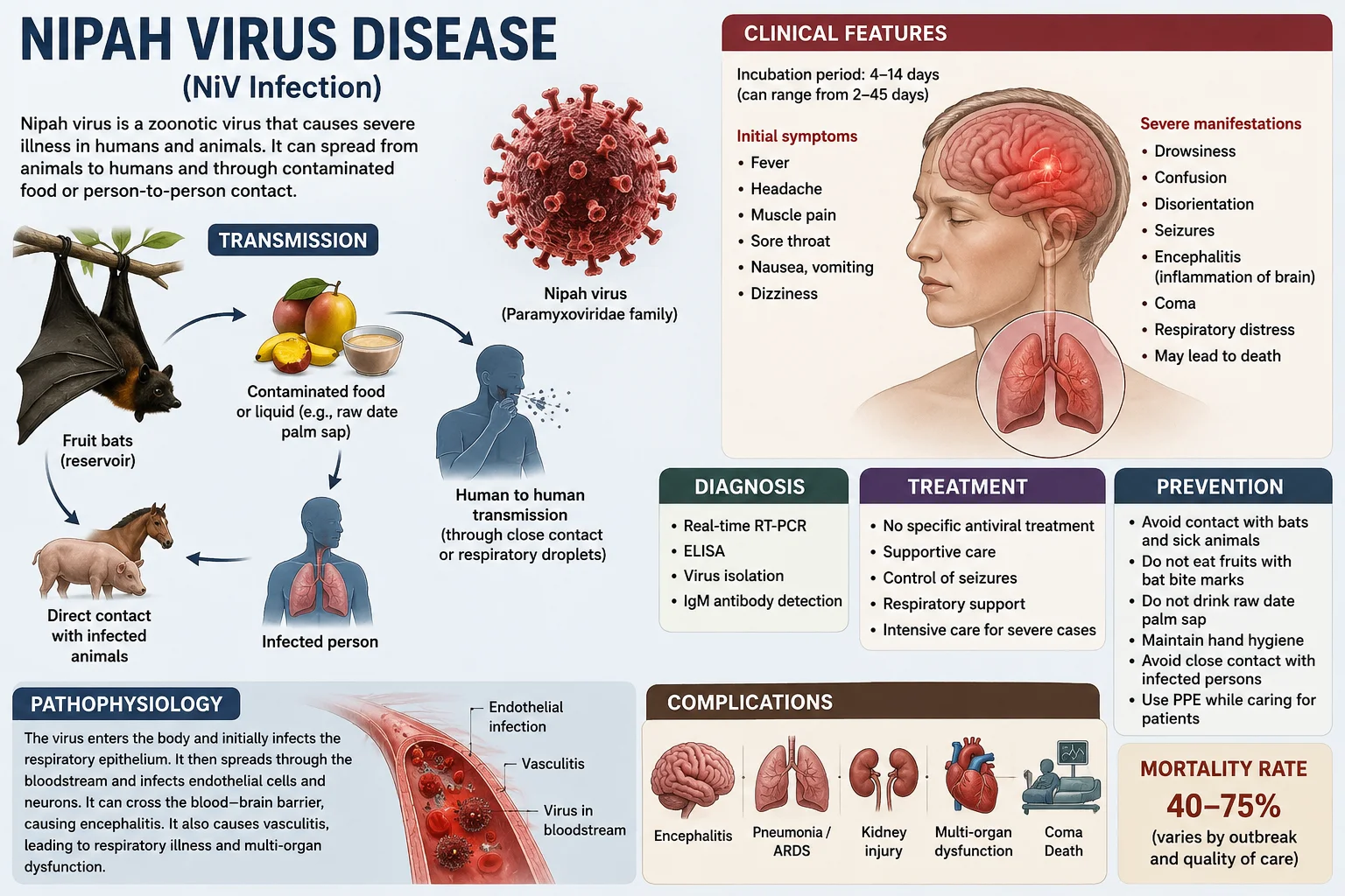 Nipah Virus Disease Understanding Risks Symptoms Prevention and Control